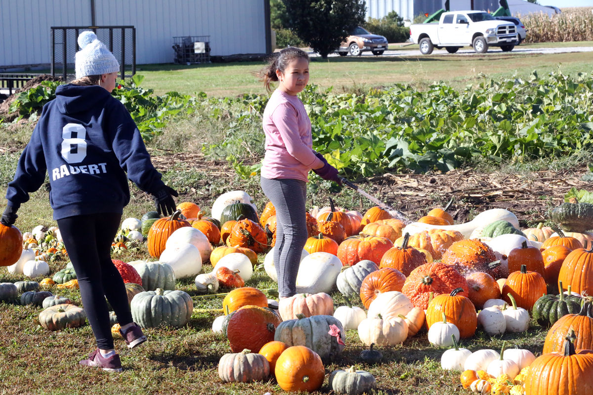 St Joseph Pumpkin Patch (21).jpg